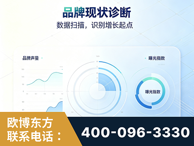 玉环-品牌现状诊断