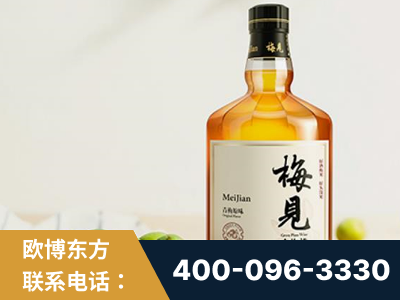 玉环-梅见青梅酒
